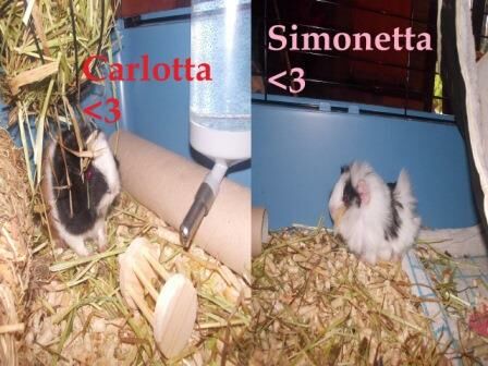 Carlotta e Simonetta <3